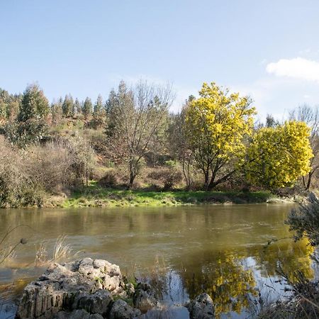 Casinha Da Aldeia Villa Castelo Branco  Bagian luar foto