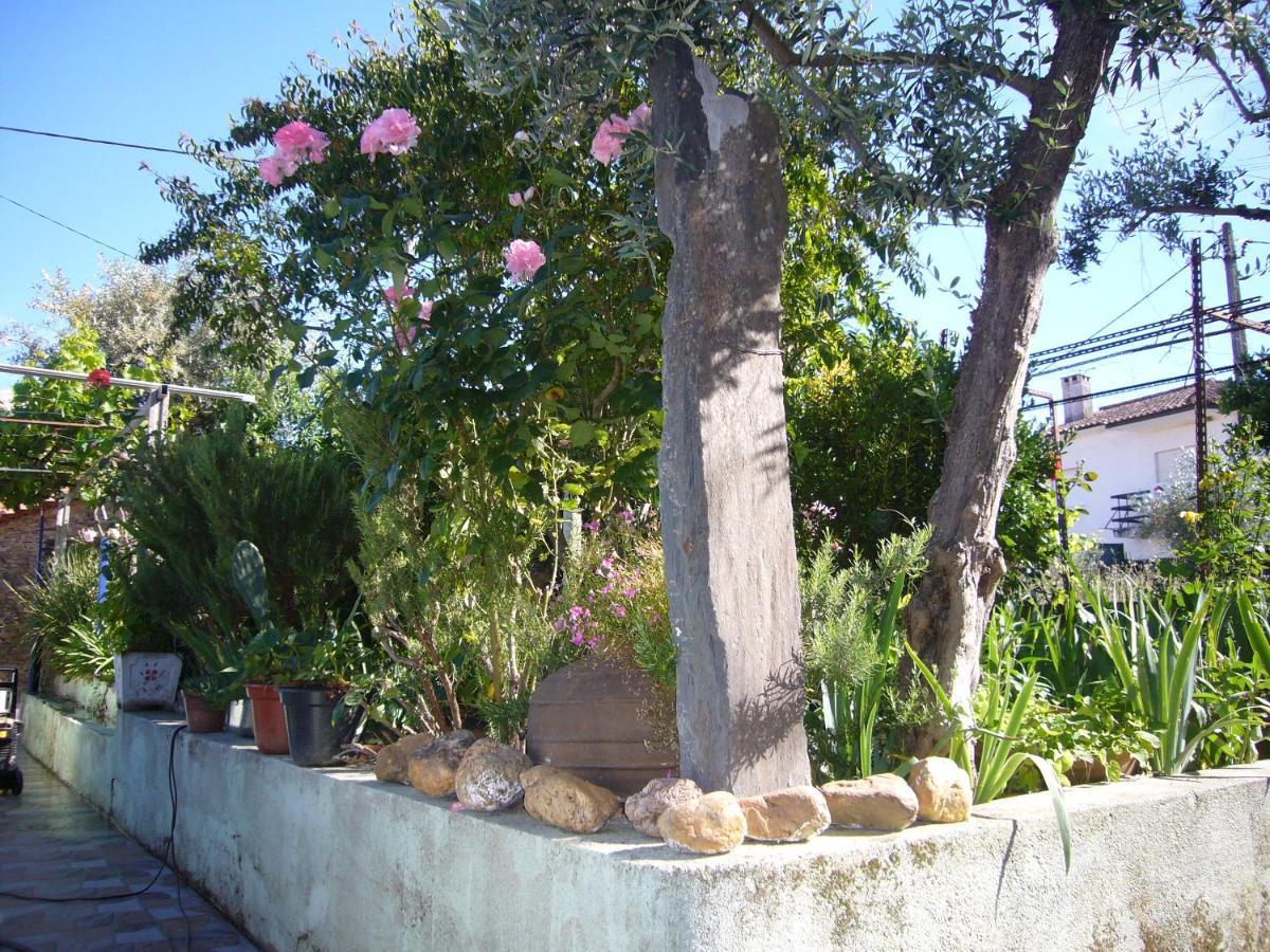 Casinha Da Aldeia Villa Castelo Branco  Bagian luar foto
