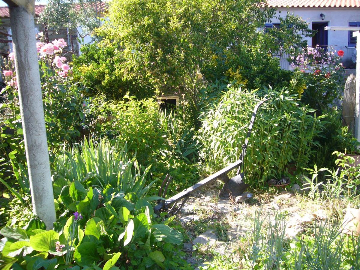 Casinha Da Aldeia Villa Castelo Branco  Bagian luar foto