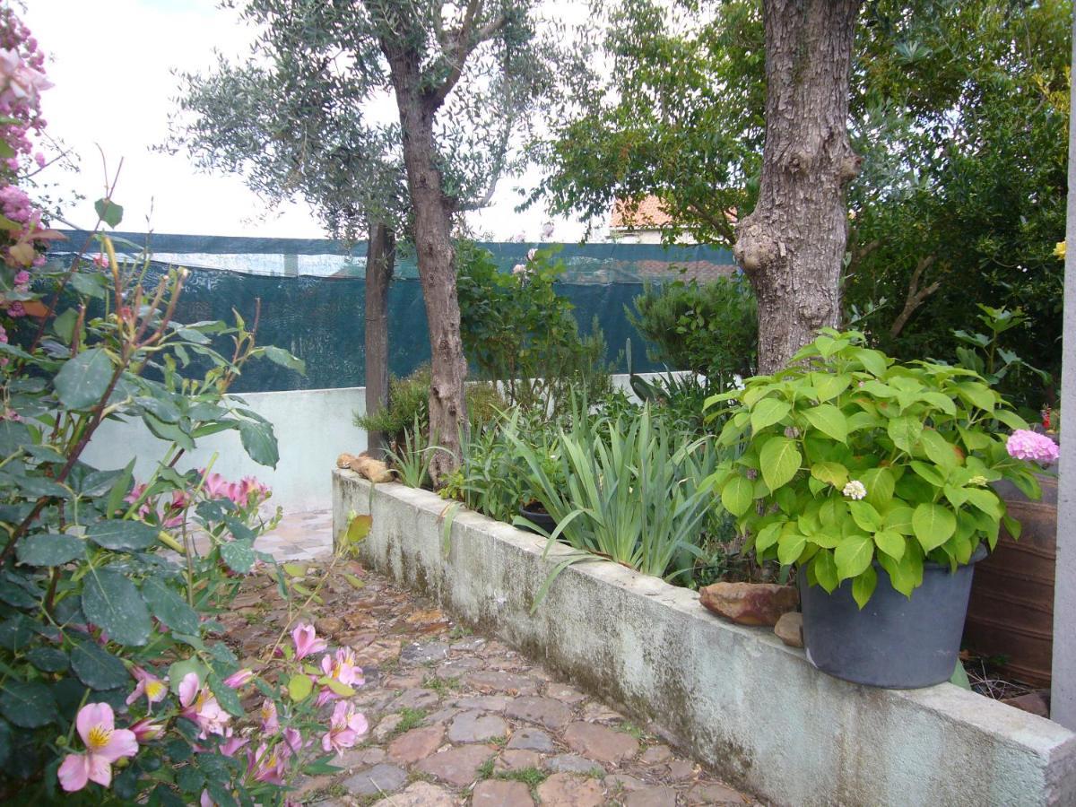 Casinha Da Aldeia Villa Castelo Branco  Bagian luar foto